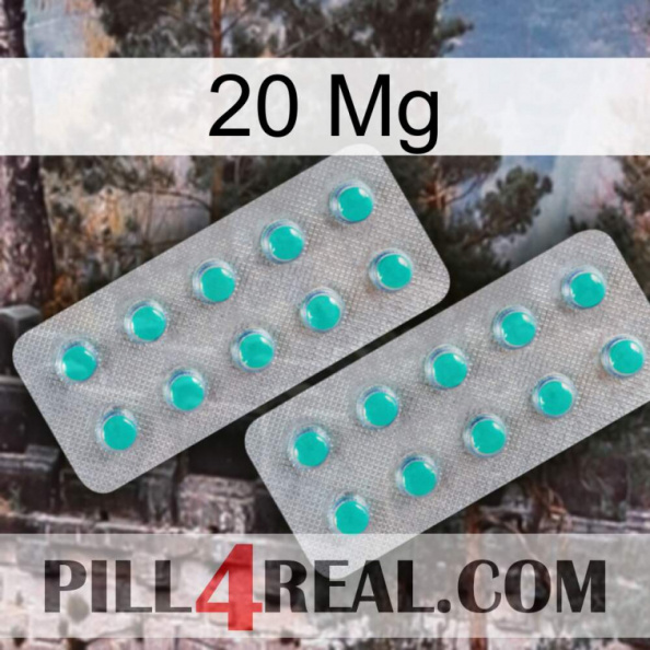 20 Mg 29.jpg